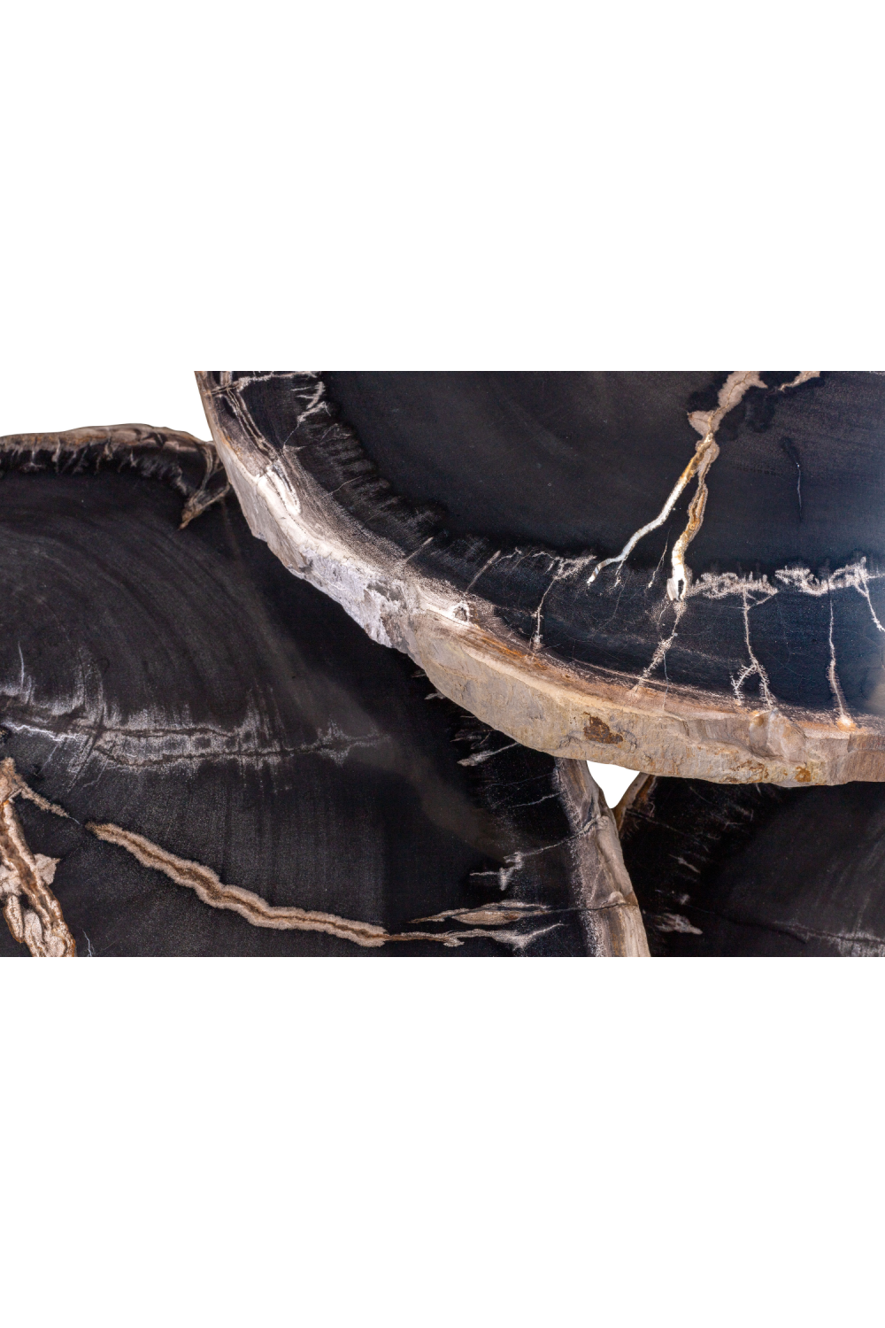 Petrified Wood Coffee Table Set (3) | Versmissen | Oroa.com