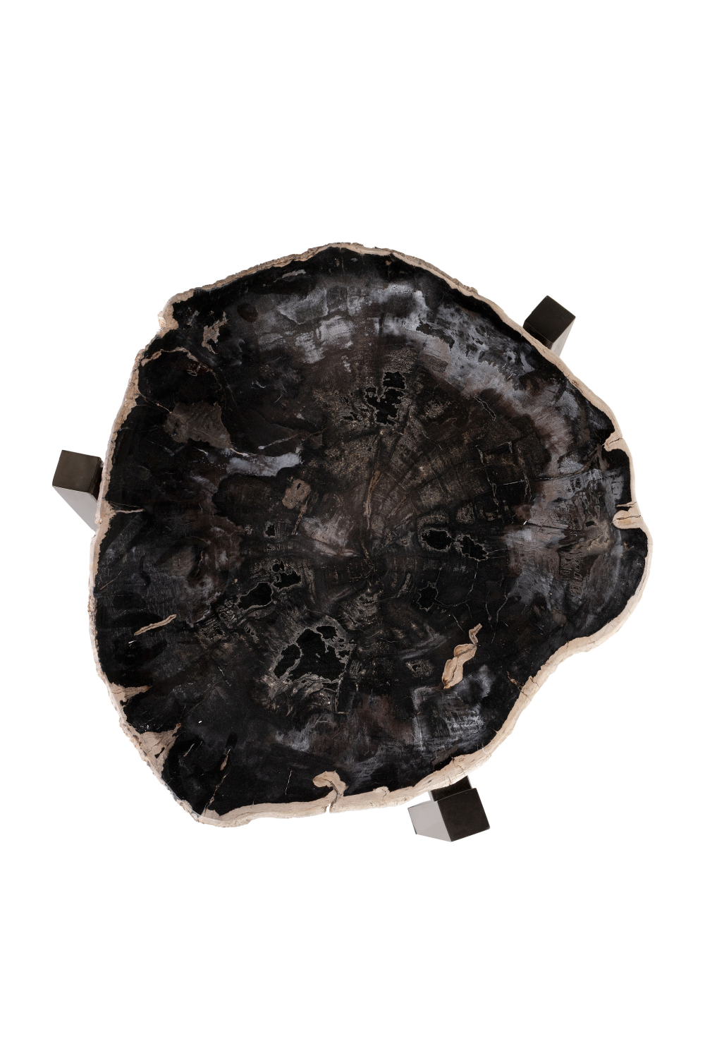 Petrified Wood Occasional Table | Versmissen | Oroa.com