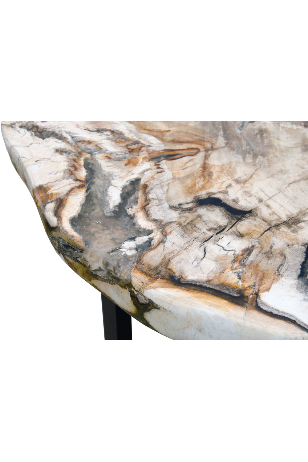 Petrified Wood Occasional Table | Versmissen | Oroa.com