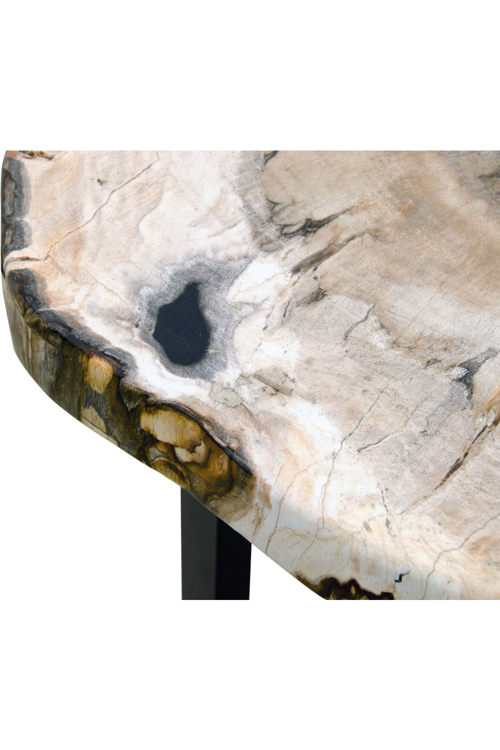 Petrified Wood Occasional Table | Versmissen | Oroa.com