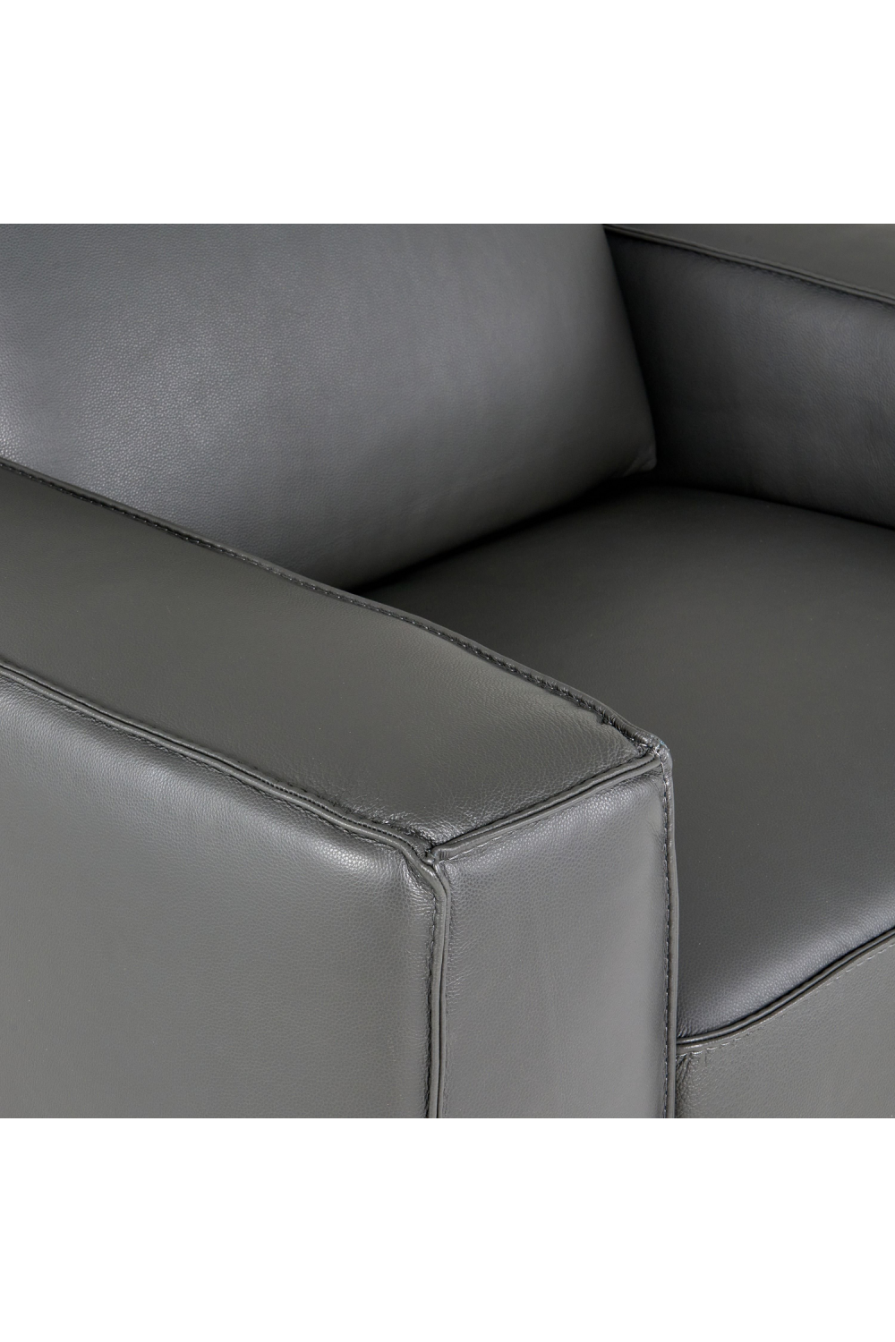 Leather Lounge Armchair | OROA Modern Lamod | Oroa.com