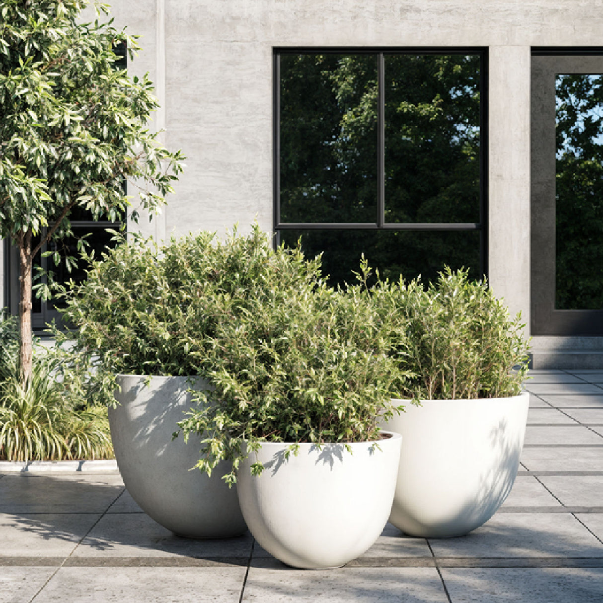 White Concrete Planter Set (3) – Goliad – angled view