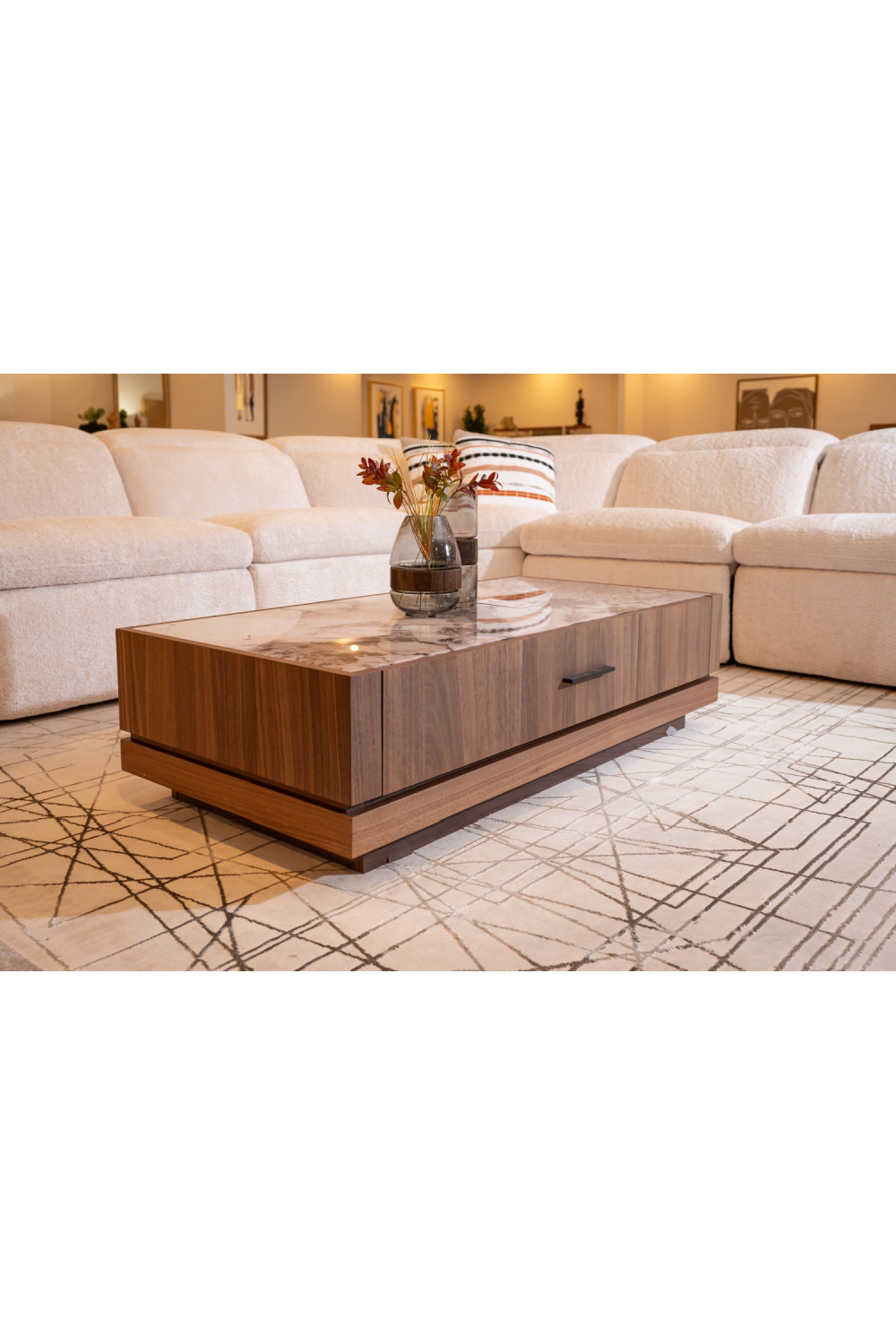 1-Drawer Walnut Coffee Table | OROA Modern Bailey | Oroa.com
