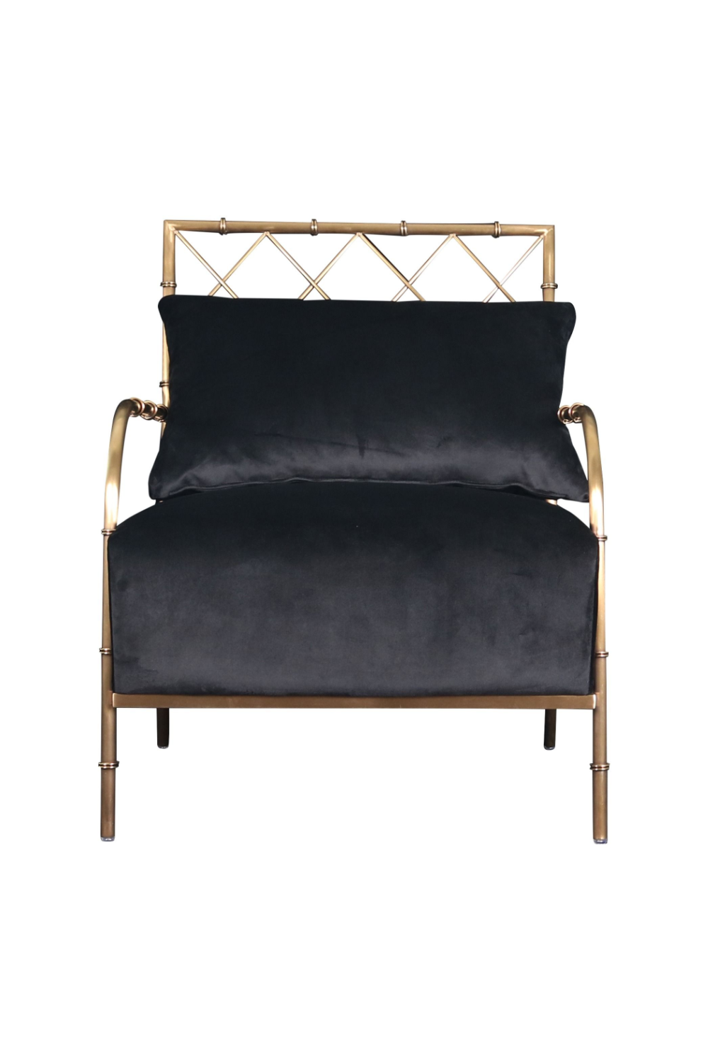Velvet Padded Accent Chair | OROA Modern Ignacio | Oroa.com