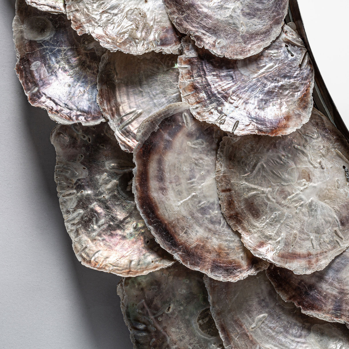 Modern European furniture - Oyster Shell Round Mirror - www.oroa.com | Oroa.com