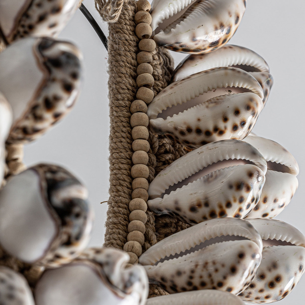 Modern European furniture - Natural Shells Decorative Object - www.oroa.com | Oroa.com
