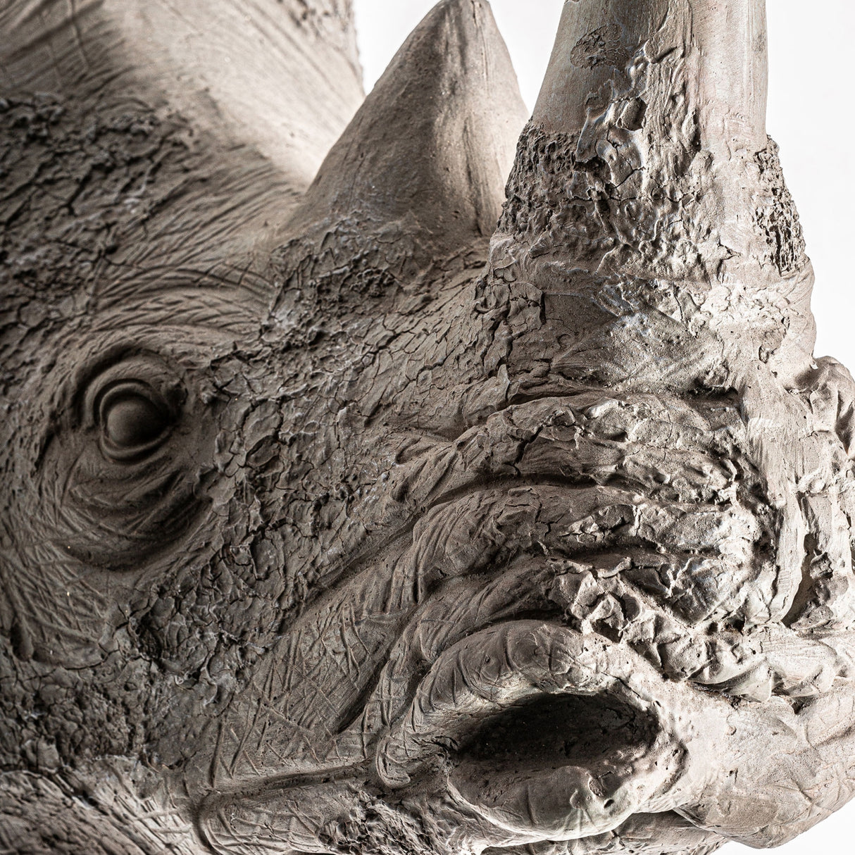 Gray Animal Bust Sculpture | Oroa.com