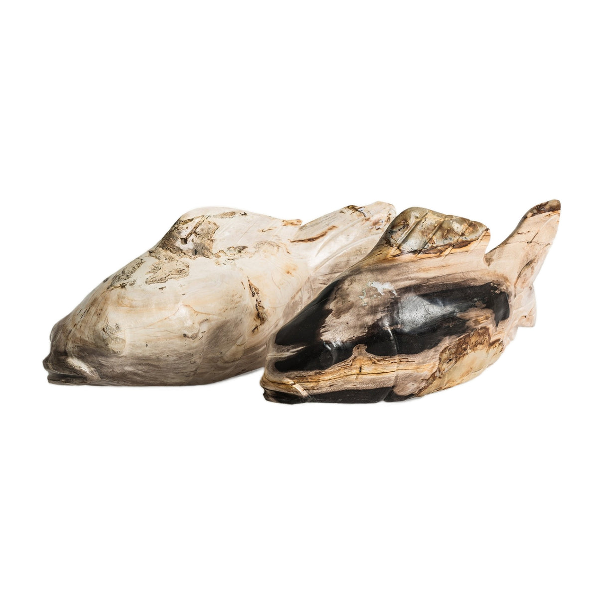 Petrified Wood Decorative Figure | Oroa.com
