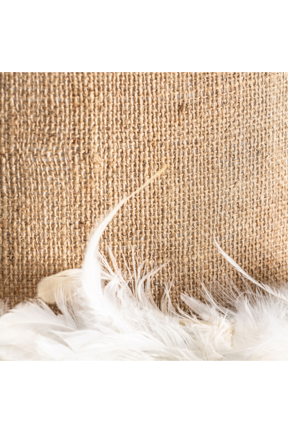 Feather Embellished Pendant Light | Vical Home | Oroa.com