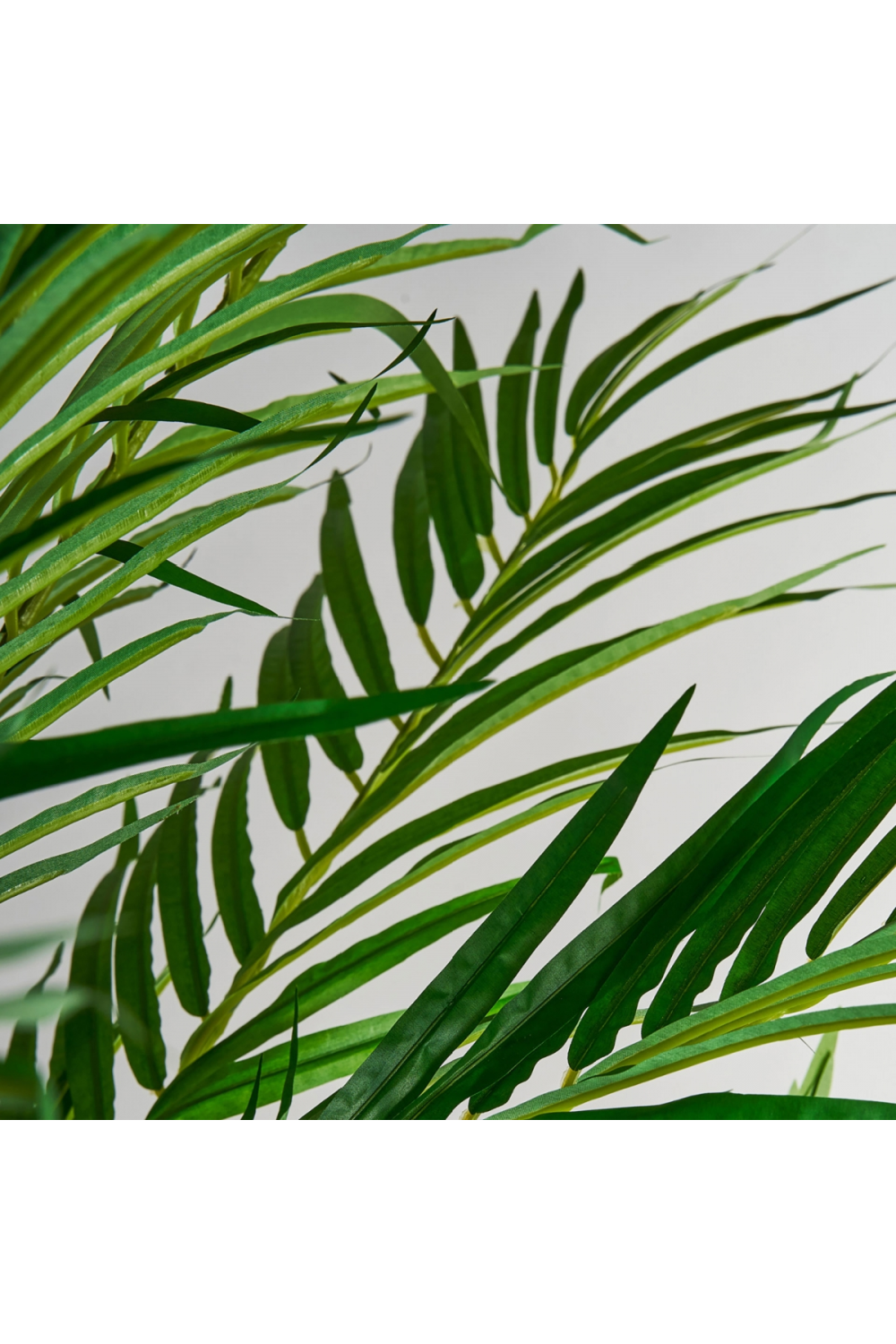 Artificial Green Palmera Plant | Vical Home | Oroa.com