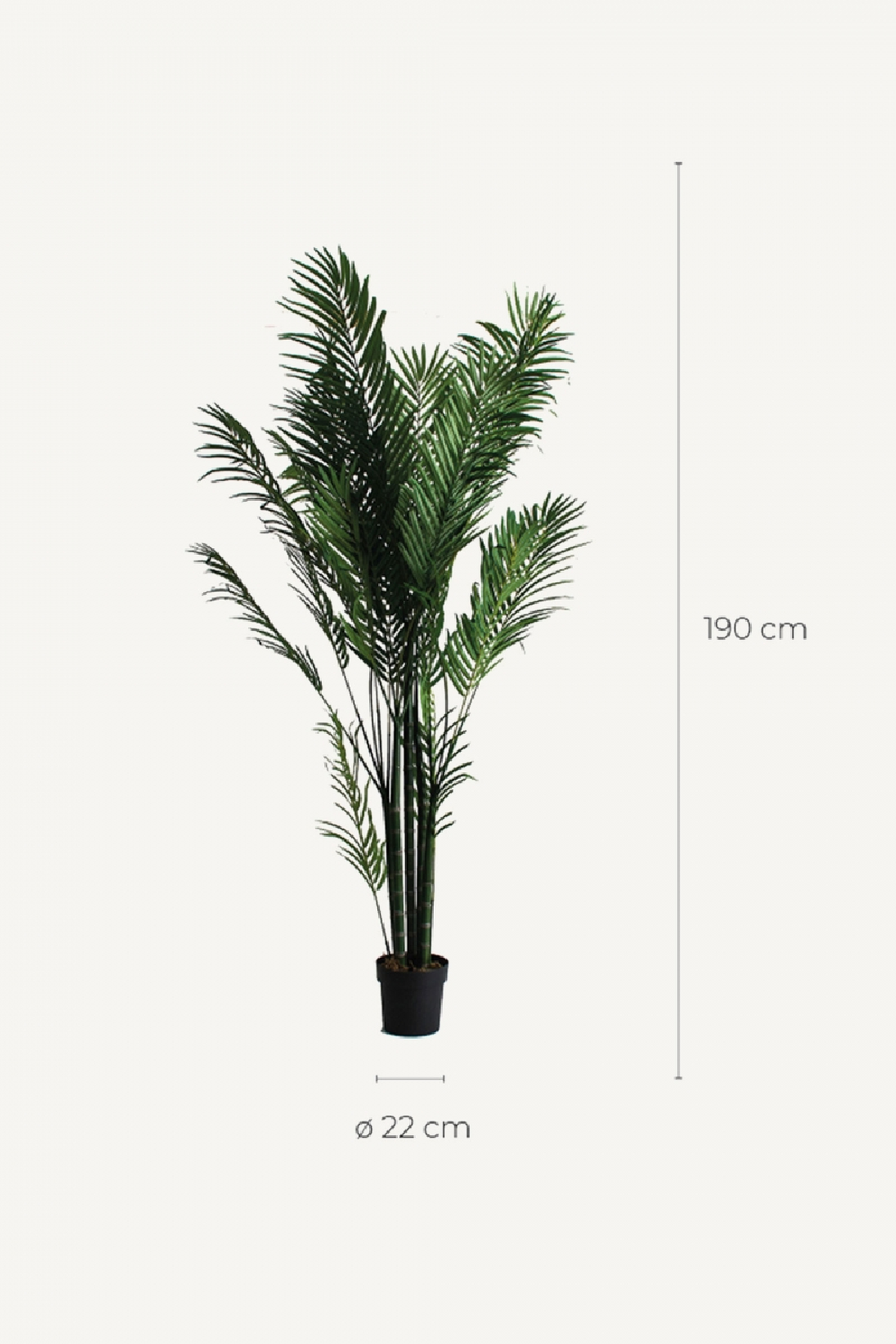 Artificial Green Palmera Plant | Vical Home | Oroa.com