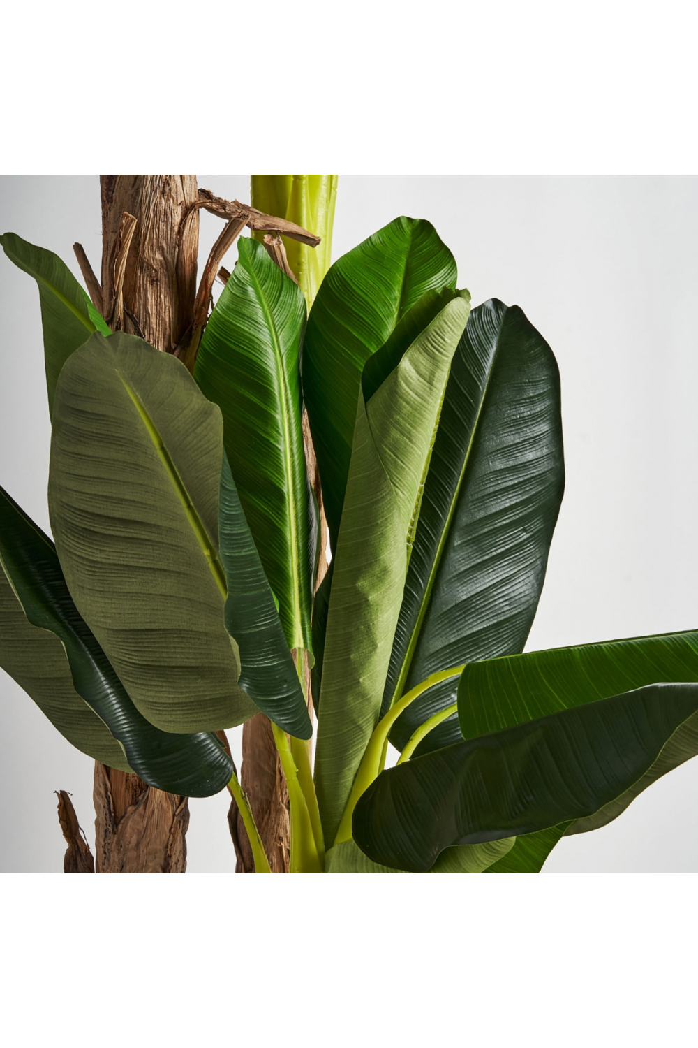 Artificial Banana Tree | Vical Home | Oroa.com