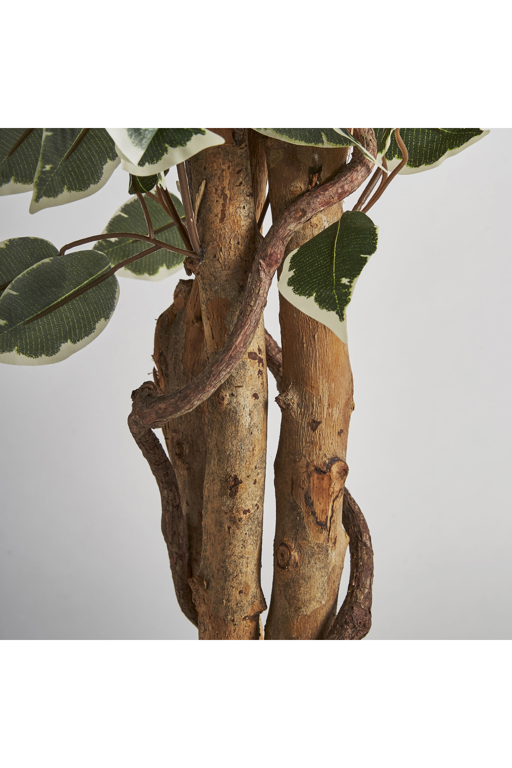 Artificial Leafy Tropical Plant | Vical Home Ficus | Oroa.com