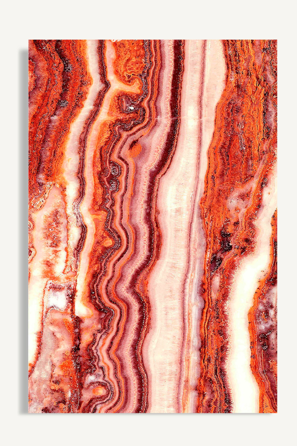 Coral Paper Art Print L | Vical Home Astanxantina | Oroa.com