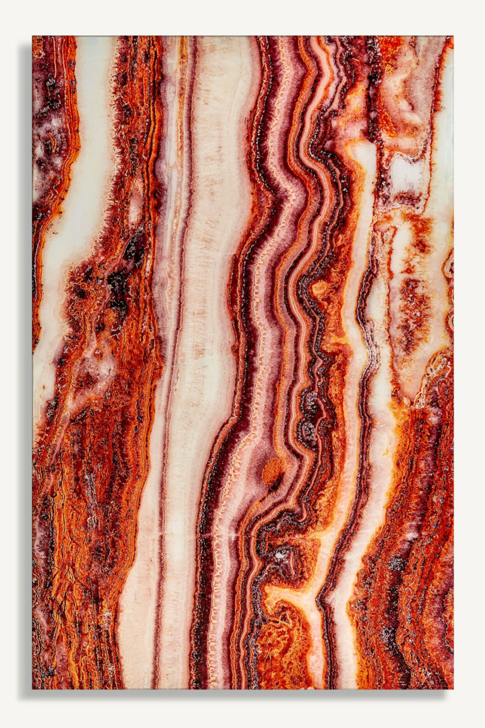 Coral Paper Art Print M | Vical Home Astanxatina | Oroa.com