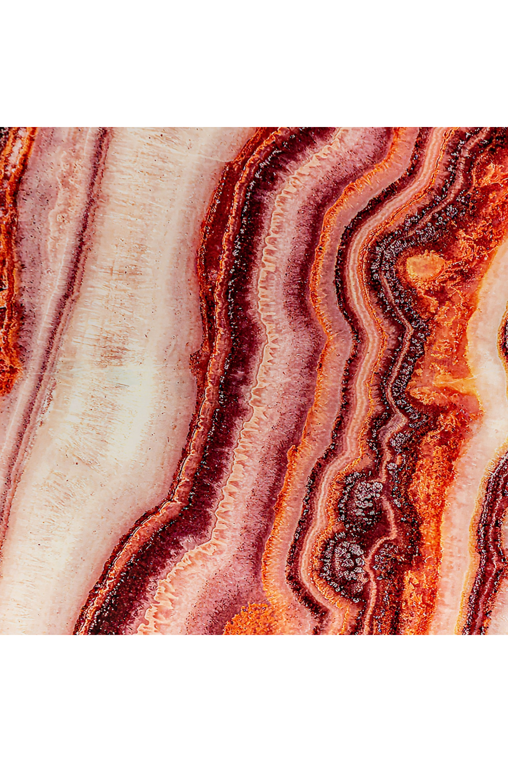 Coral Paper Art Print M | Vical Home Astanxatina | Oroa.com