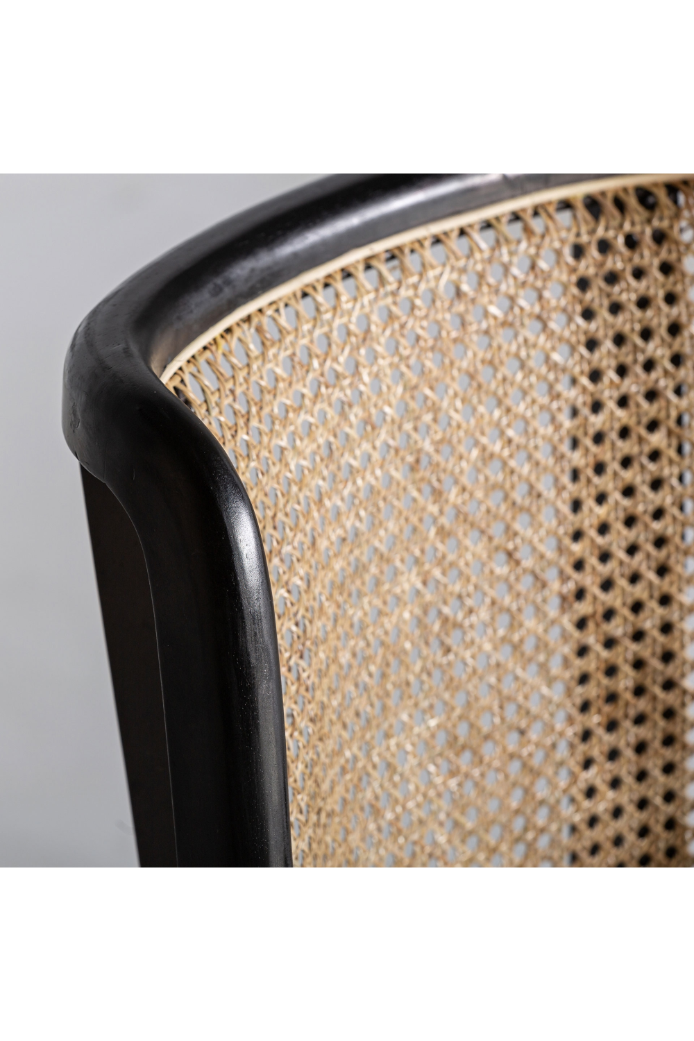 Velvet Seat Rattan Dining Chair | Vical Home Velburg | Oroa.com