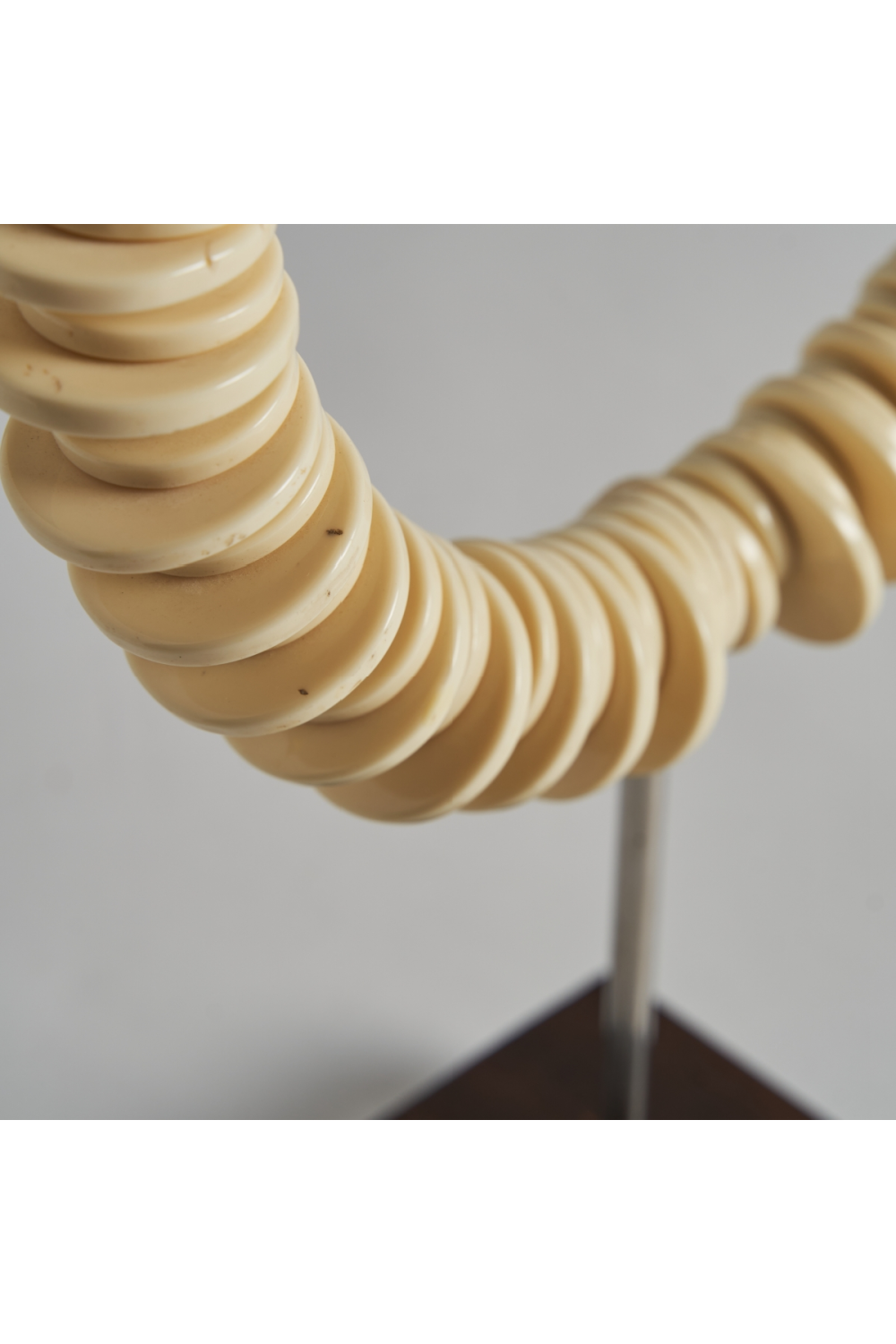 Bone Round Decorative Object | Vical Home Austen | Oroa.com