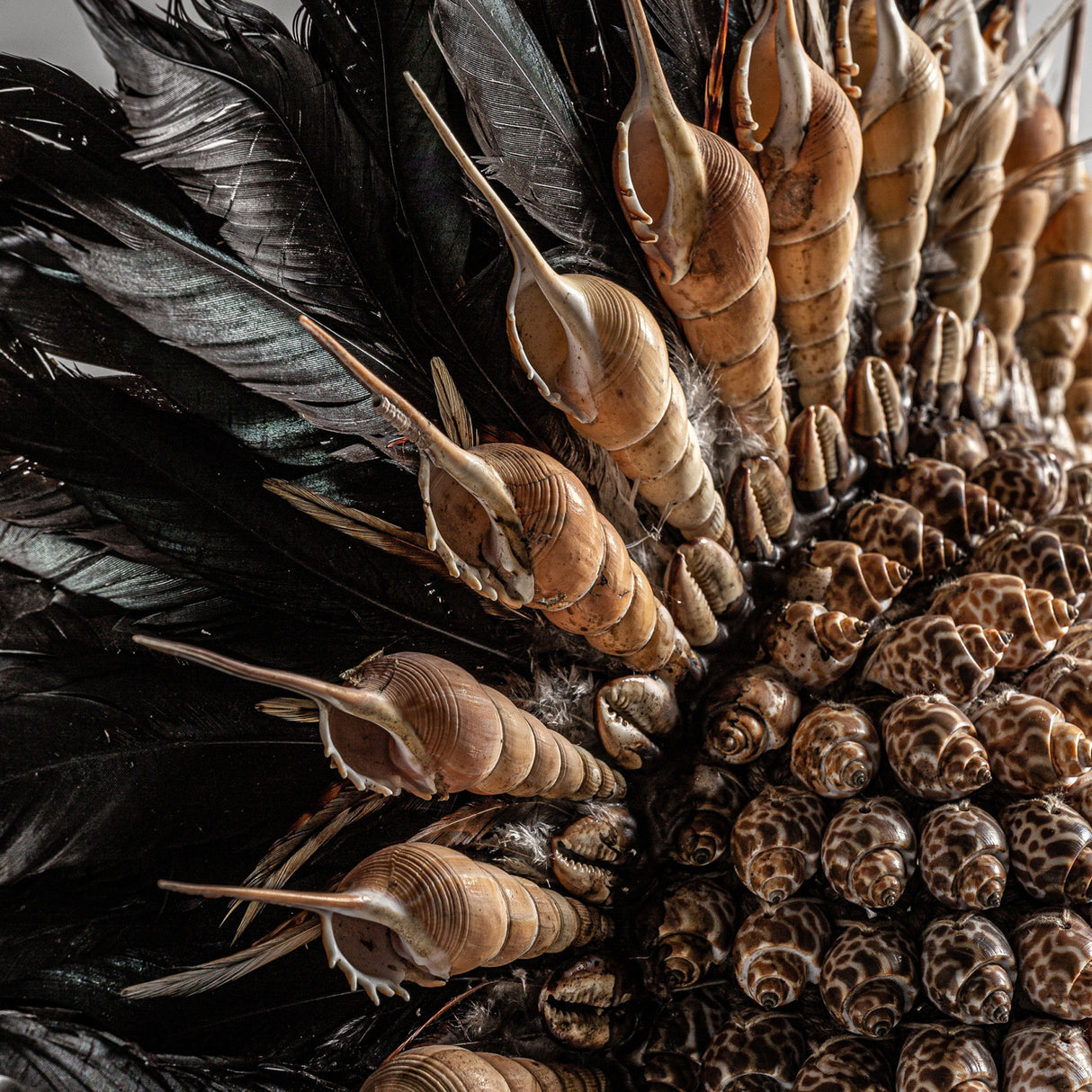 Feather Headdress Decorative Object | Oroa.com