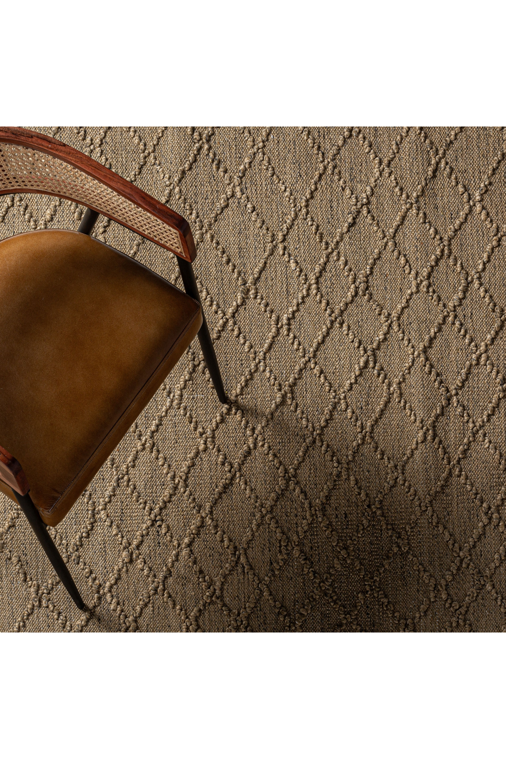 Brown Outdoor Area Rug 11' x 8' | Vical Home Sasha | Oroa.com