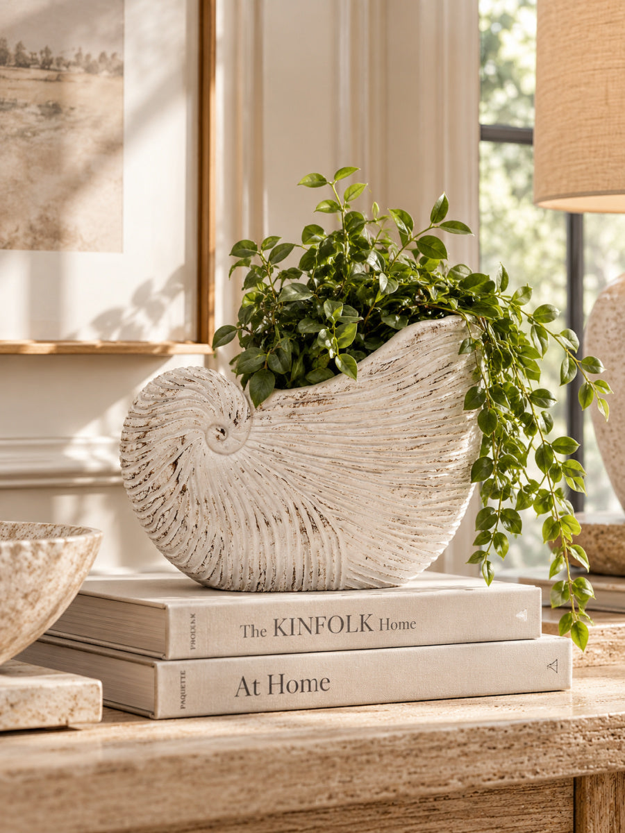 Modern European furniture - Textured Beige Nautilus Shell Sand Cement Planter - www.oroa.com