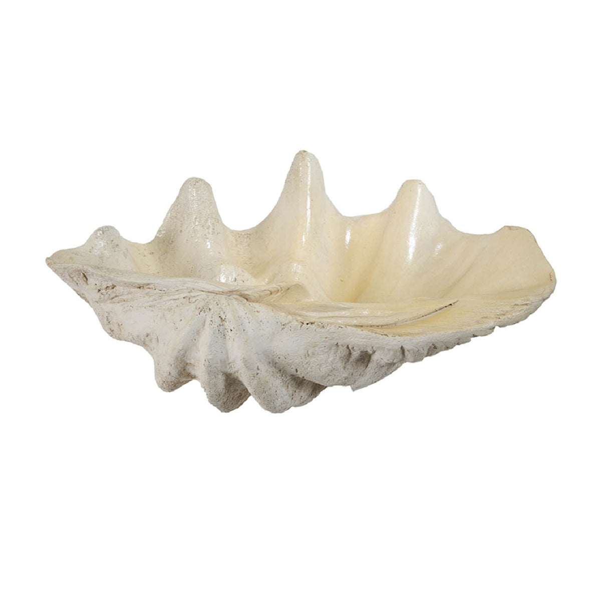 Clam Shell Decorative Object | OROA