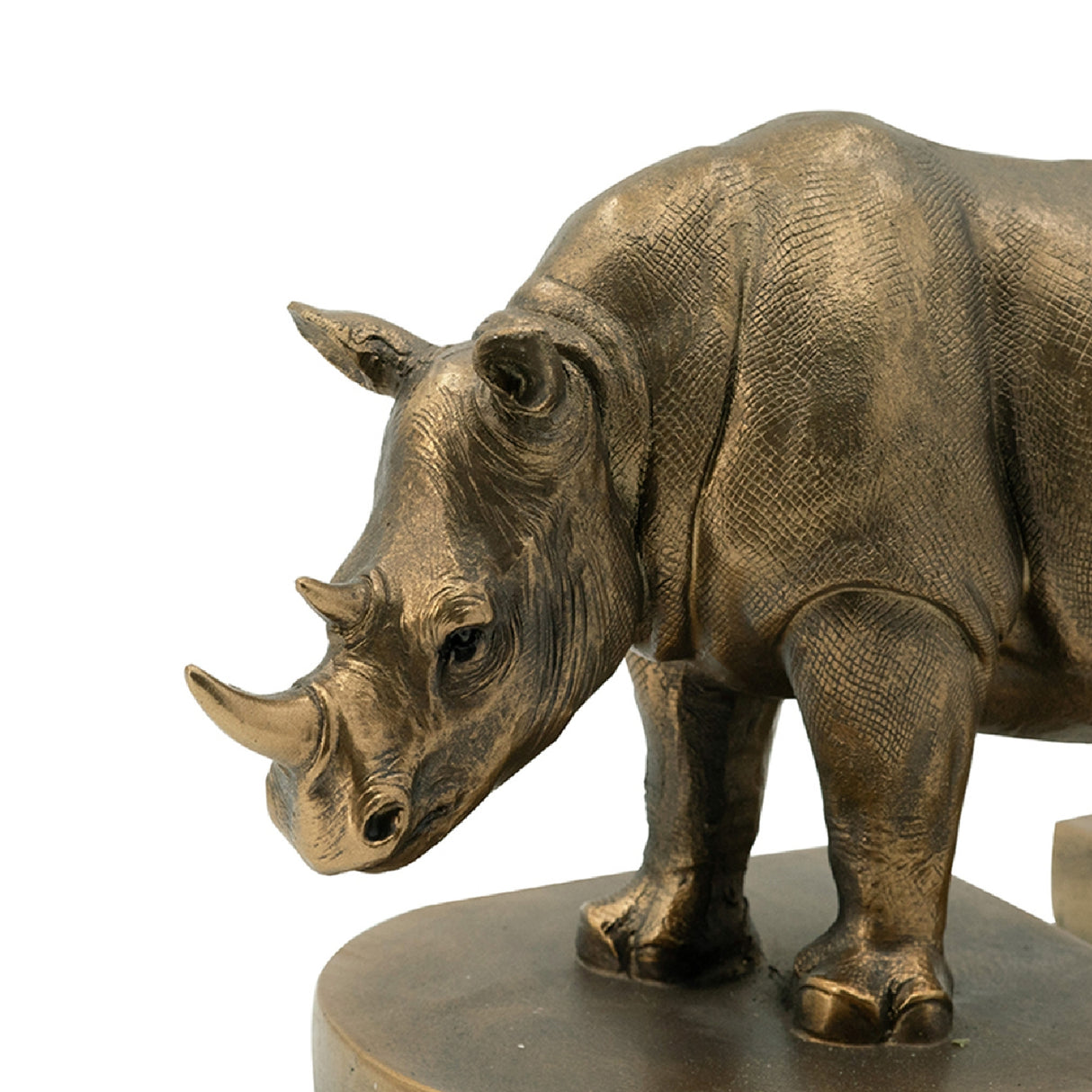 Rhino Bronze Bookends | OROA