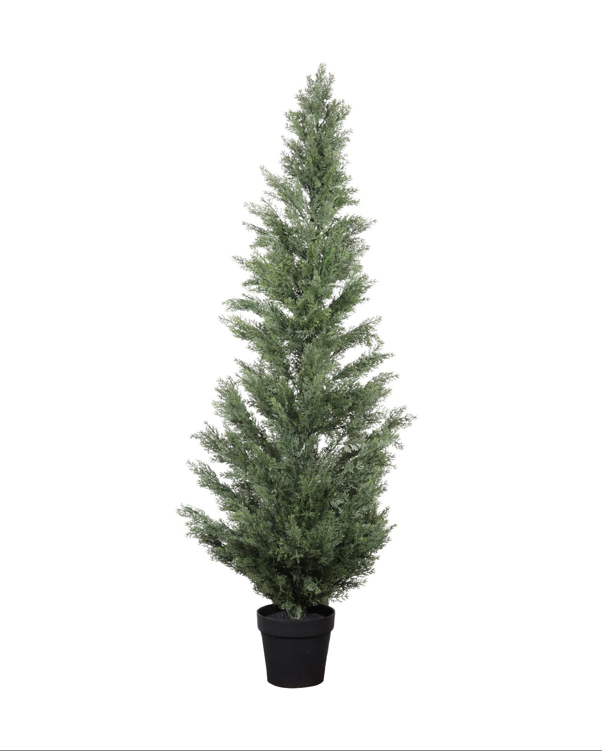 Modern European furniture - 5' UV-Resistant Artificial Cypress Tree - www.oroa.com