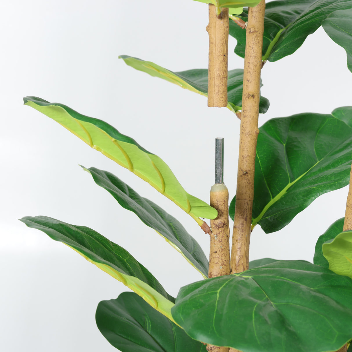 Modern European furniture - 63" Artificial Fiddle Leaf Fig Tree in White Pot - www.oroa.com