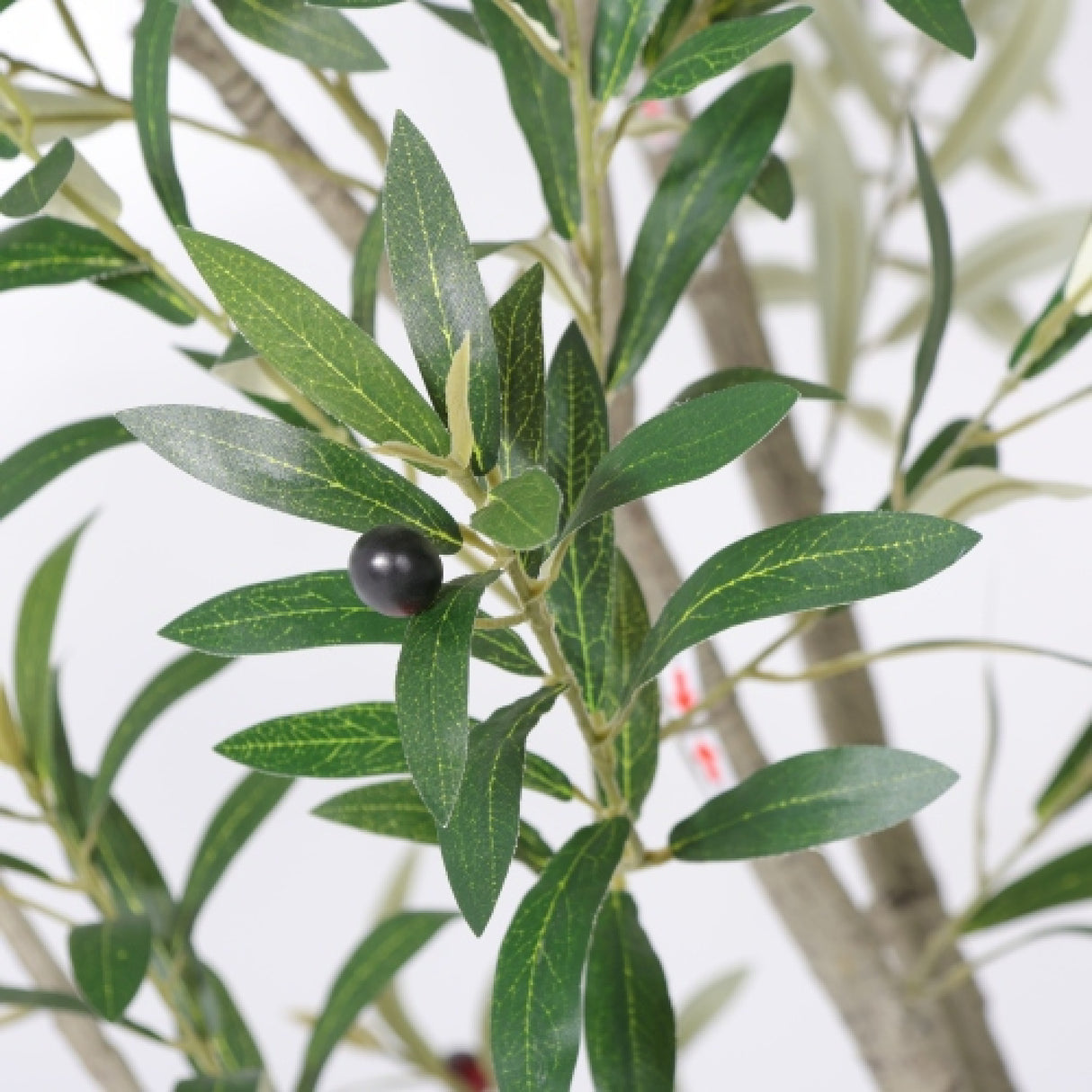Modern European furniture - 8' Lifelike Olive Tree in White Planter - www.oroa.com