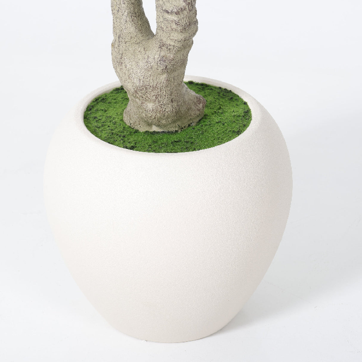 Modern European furniture - 8' Lifelike Olive Tree in White Planter - www.oroa.com