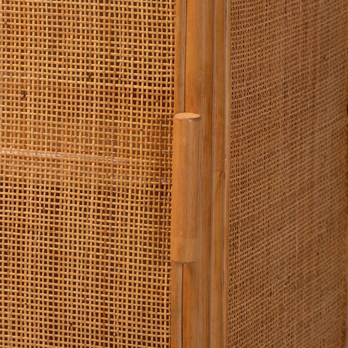 Modern European furniture - Arched Rattan Accent Cabinet - www.oroa.com