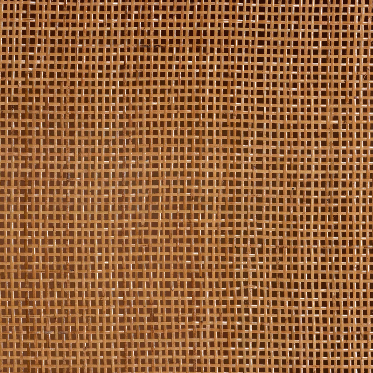 Modern European furniture - Arched Rattan Accent Cabinet - www.oroa.com | Oroa.com