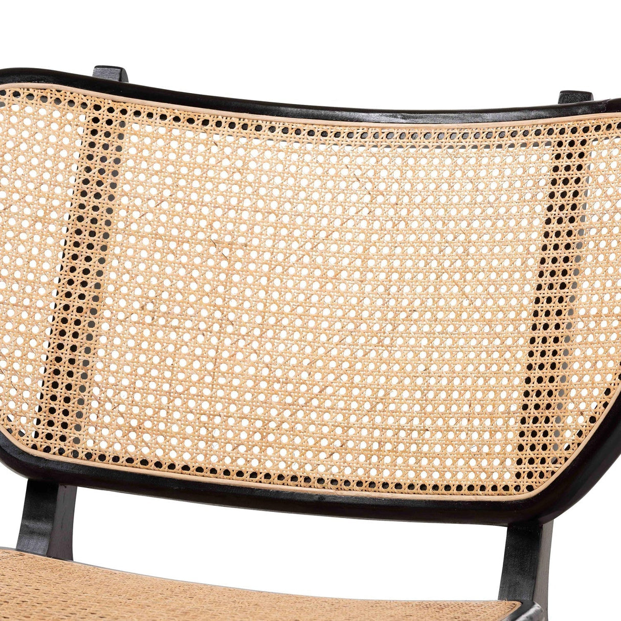 Modern European furniture - Black Mahogany Accent Chair - www.oroa.com