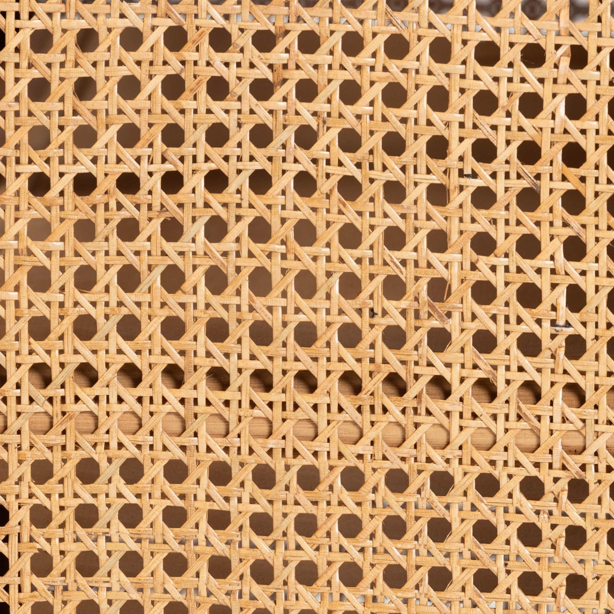Modern European furniture - Rattan Bohemian Storage Cabinet - www.oroa.com