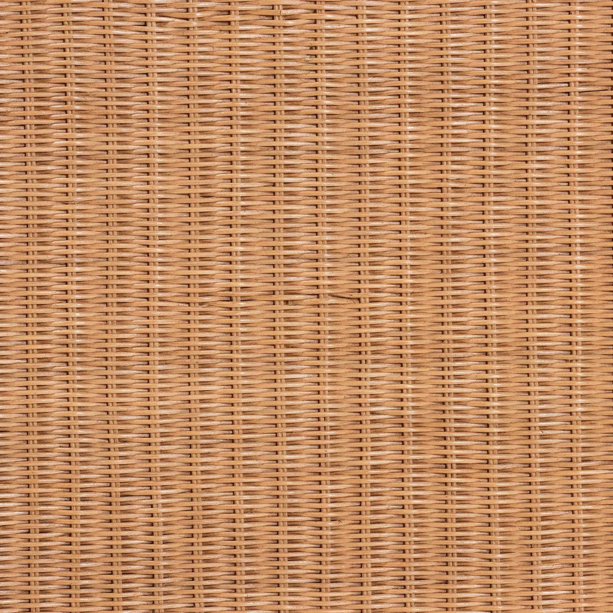 Modern European furniture - Rattan Elephant Console Table - www.oroa.com