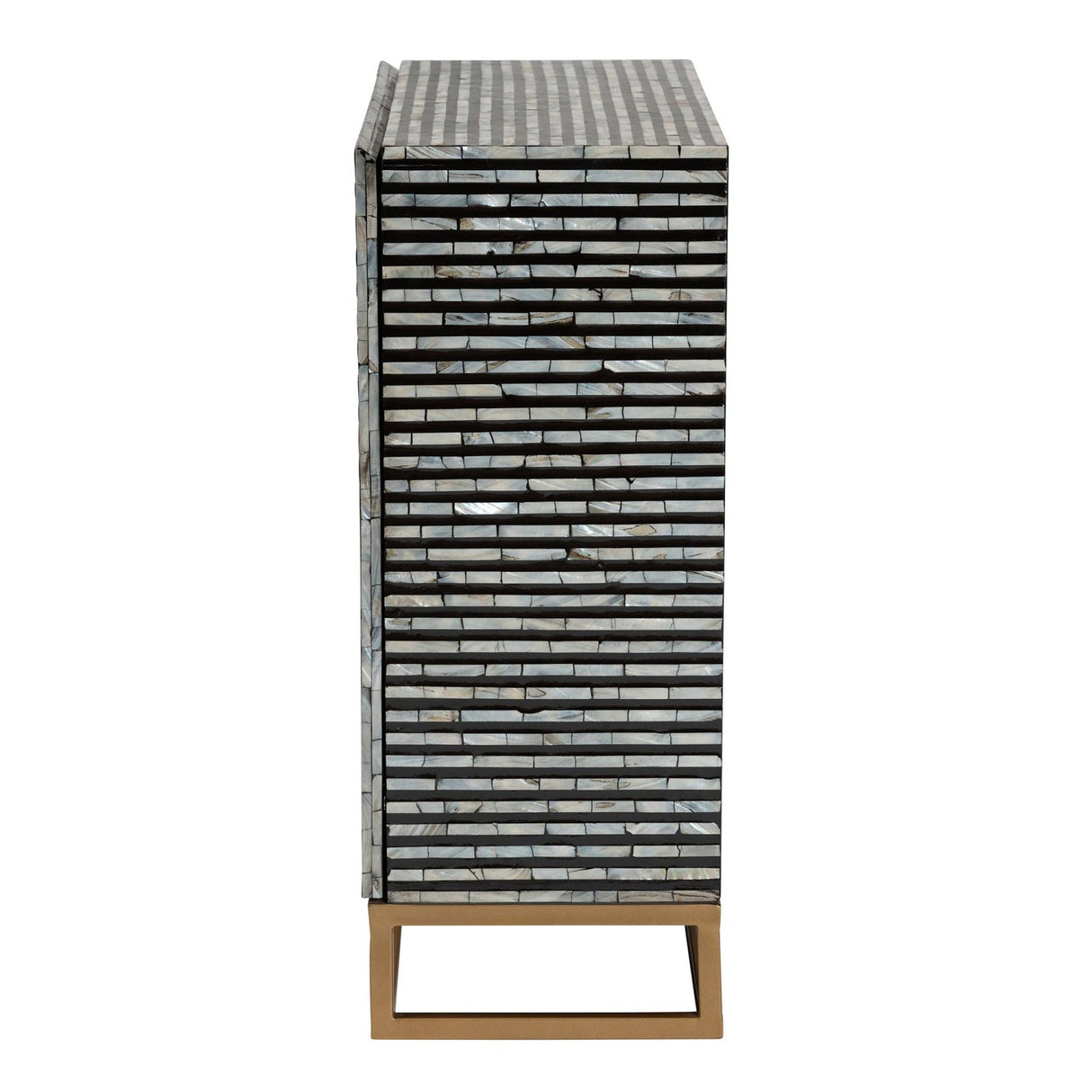 Modern European furniture - Black Gray 2 Door Cabinet - www.oroa.com