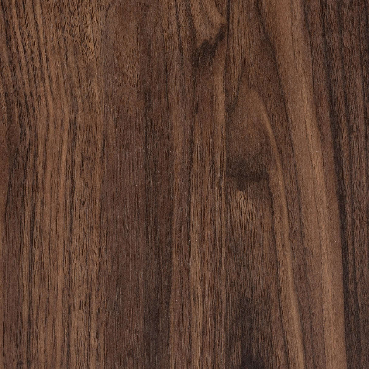 Modern European furniture - Brown Wooden 2 Door Cabinet - www.oroa.com