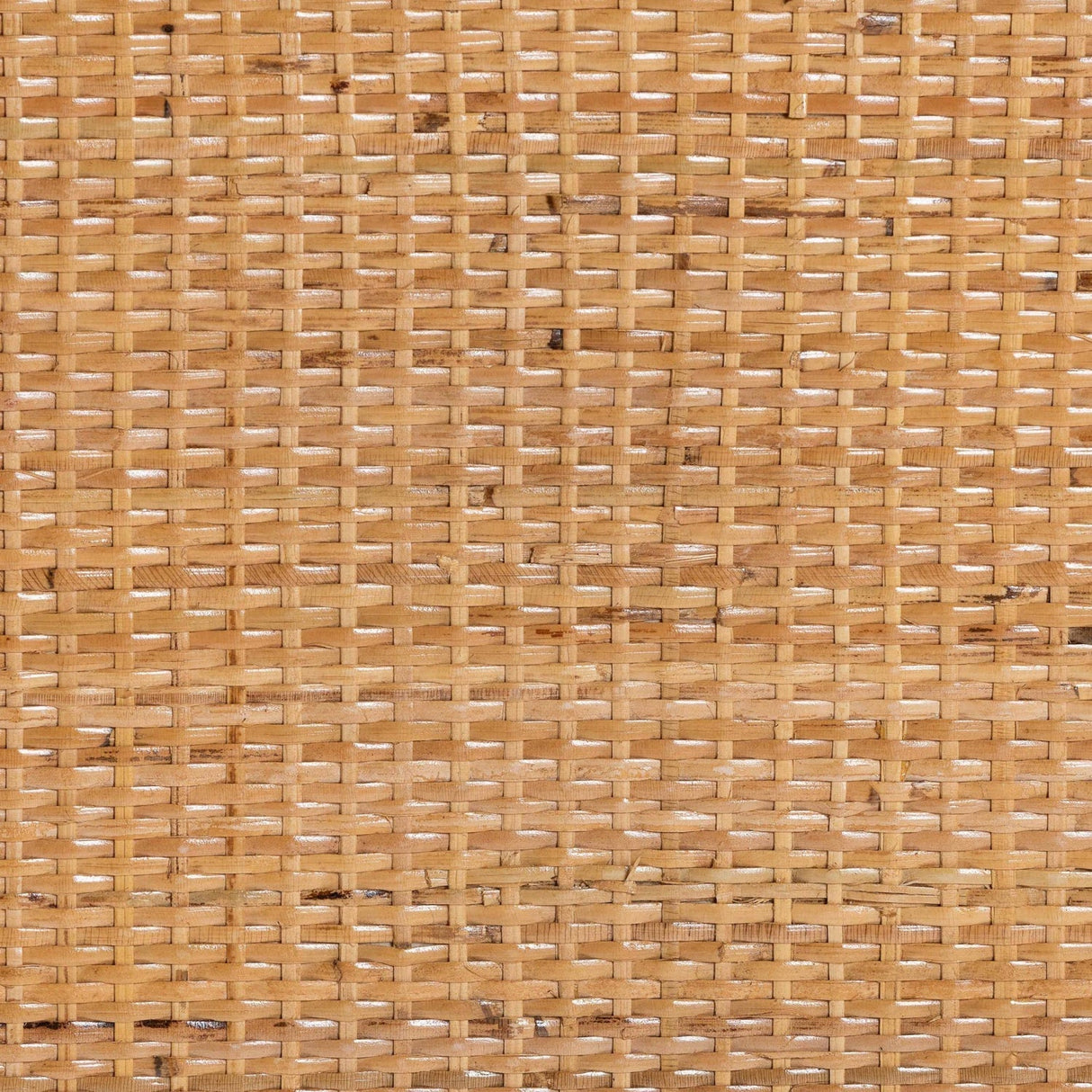 Modern European furniture - Rattan Peacock Fan Cabinet - www.oroa.com