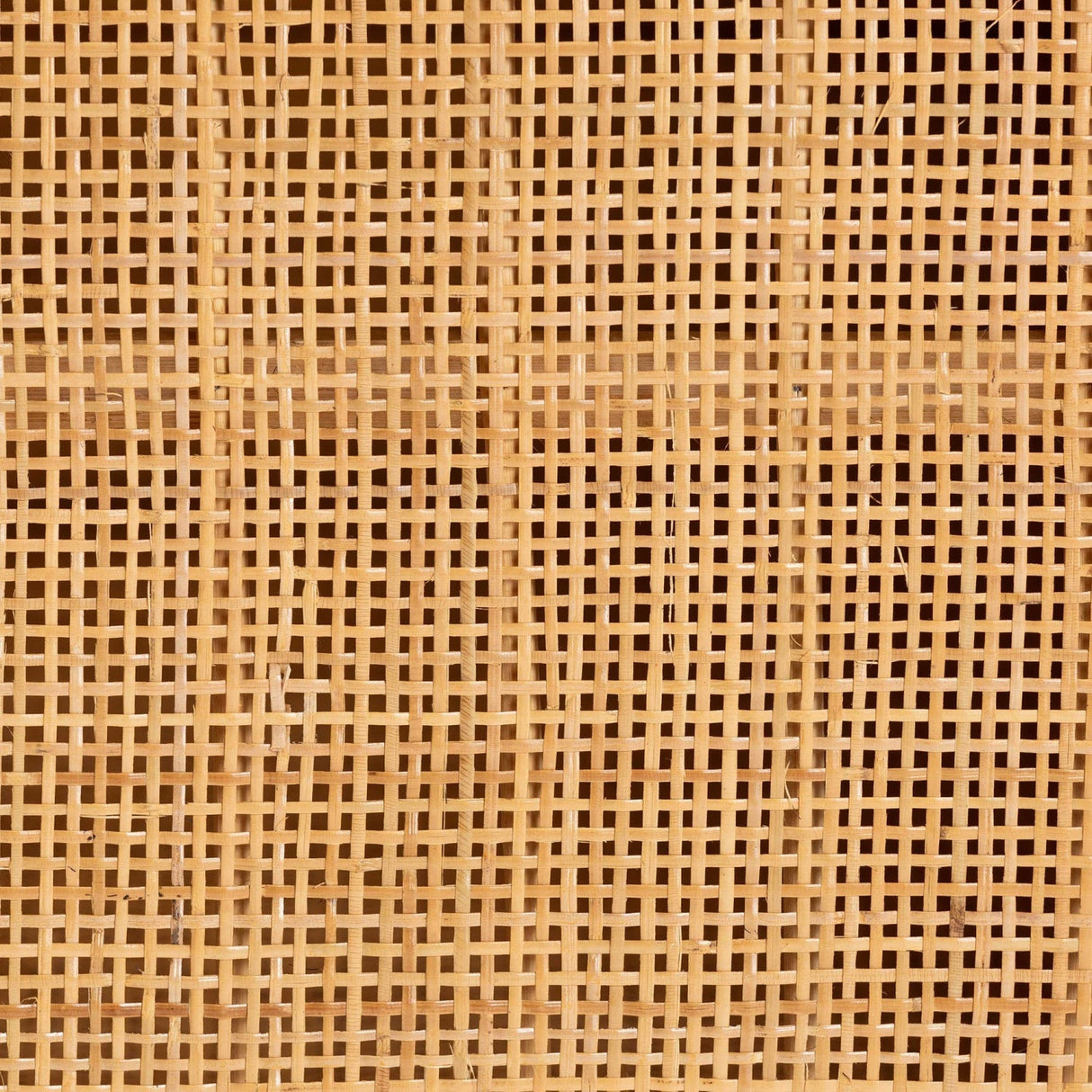 Modern European furniture - Natural Rattan 2 Door Sideboard - www.oroa.com