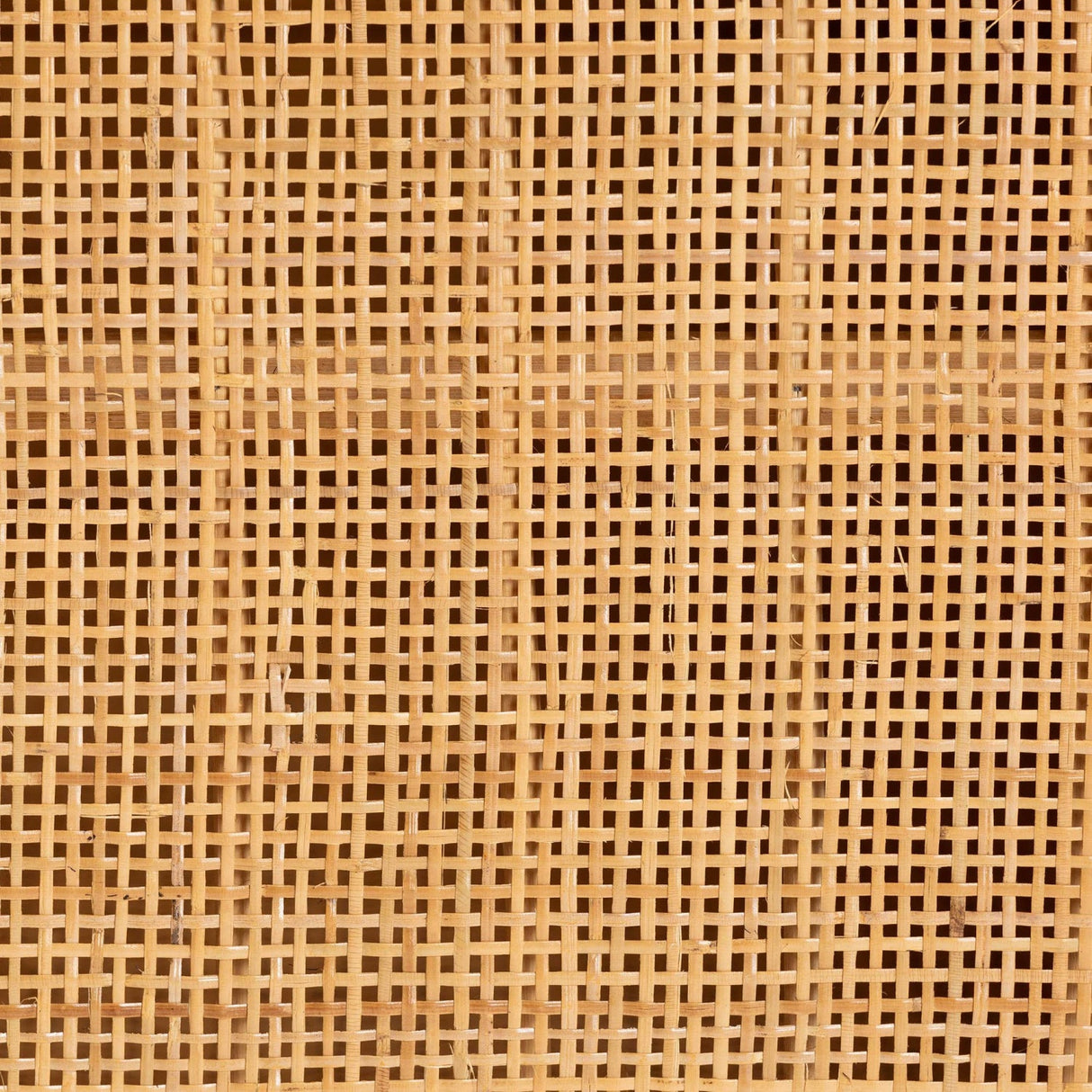 Modern European furniture - Natural Rattan 2 Door Sideboard - www.oroa.com