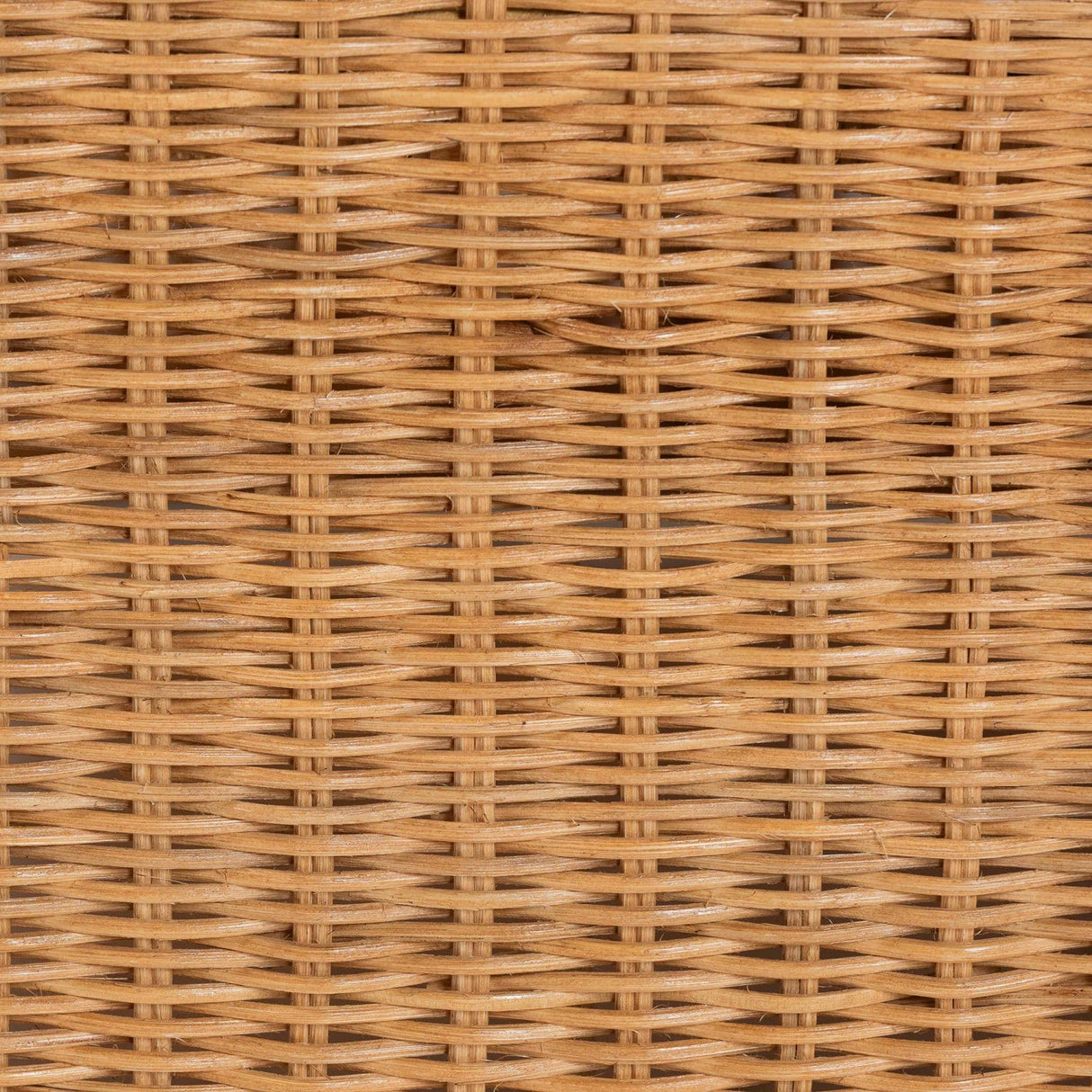 Modern European furniture - U Shaped Rattan Lounge Armchair - www.oroa.com