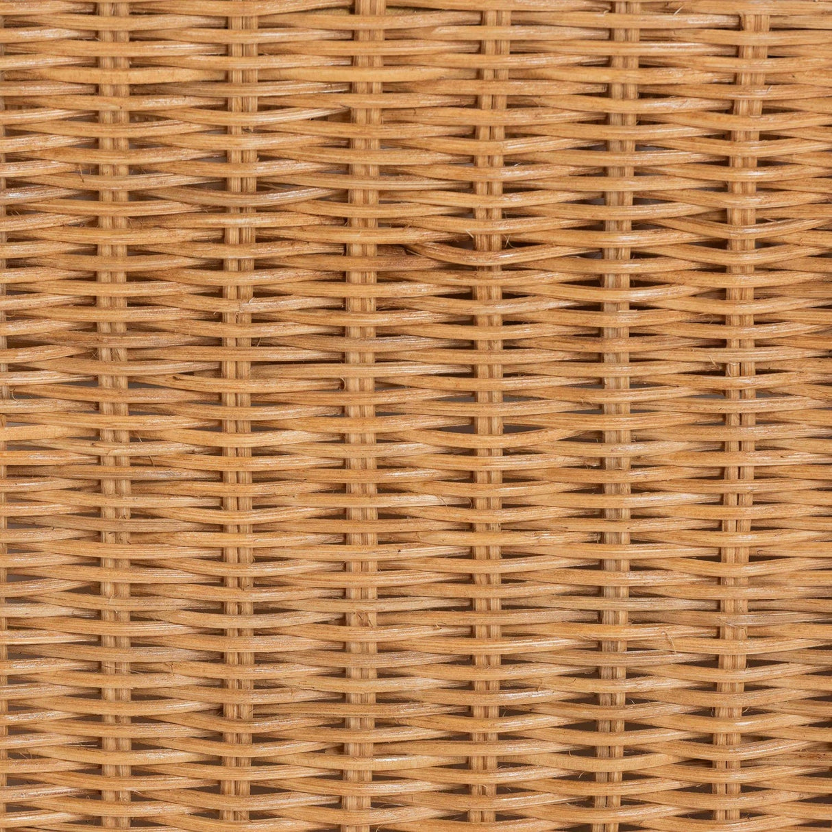 Modern European furniture - U Shaped Rattan Lounge Armchair - www.oroa.com