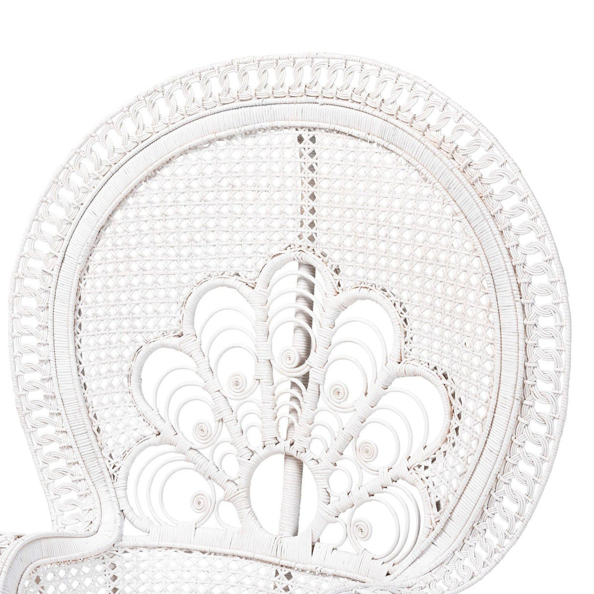 Modern European furniture - White Rattan Peacock Accent Chair - www.oroa.com