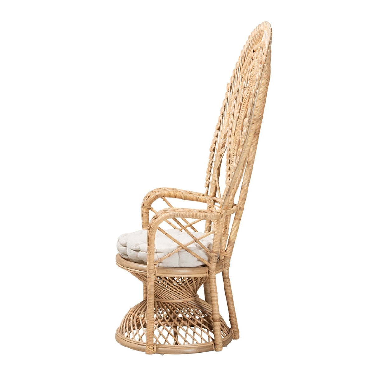 Modern European furniture - Rattan Indoor Semi Outdoor Peacock Accent Chair - www.oroa.com