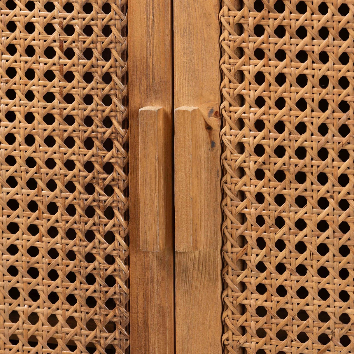 Modern European furniture - Teak Framed Rattan Cabinet - www.oroa.com