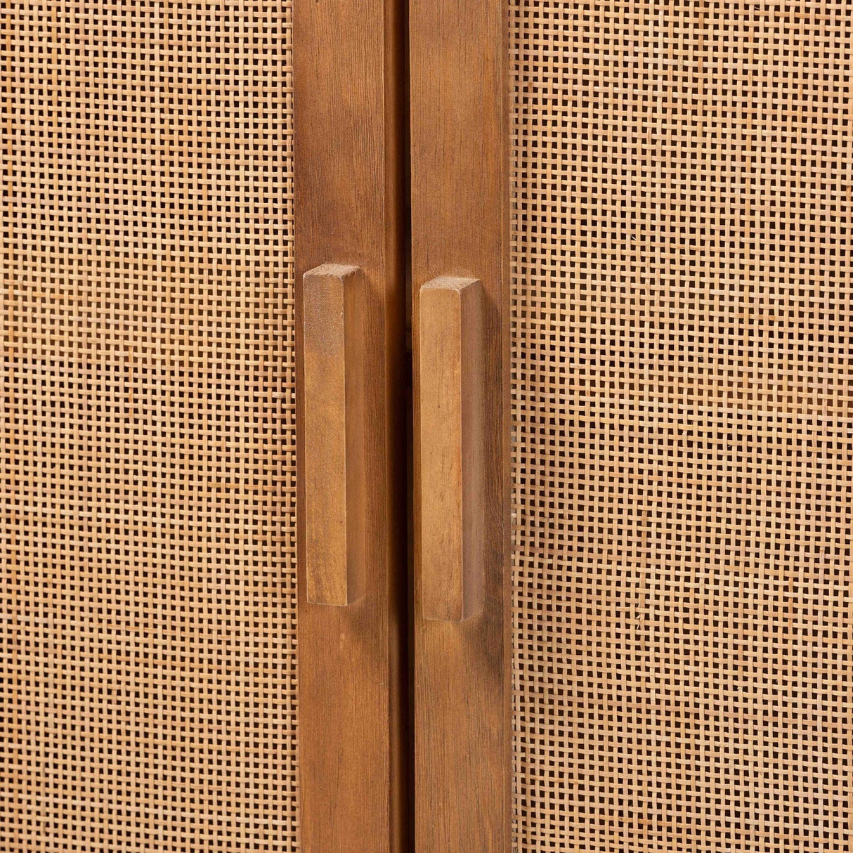 Modern European furniture - 2 Door Rattan Accent Cabinet - www.oroa.com