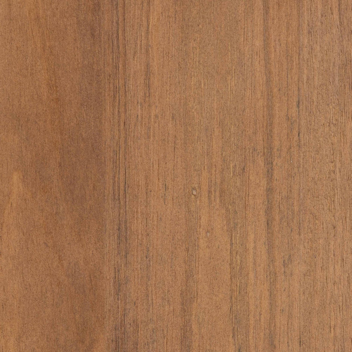 Modern European furniture - 2 Door Rattan Accent Cabinet - www.oroa.com