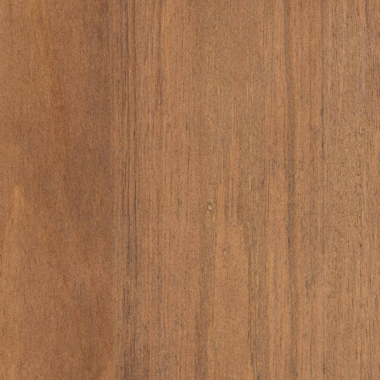 2 Door Rattan Accent Cabinet | Bali Loom Sibu | Oroa.com