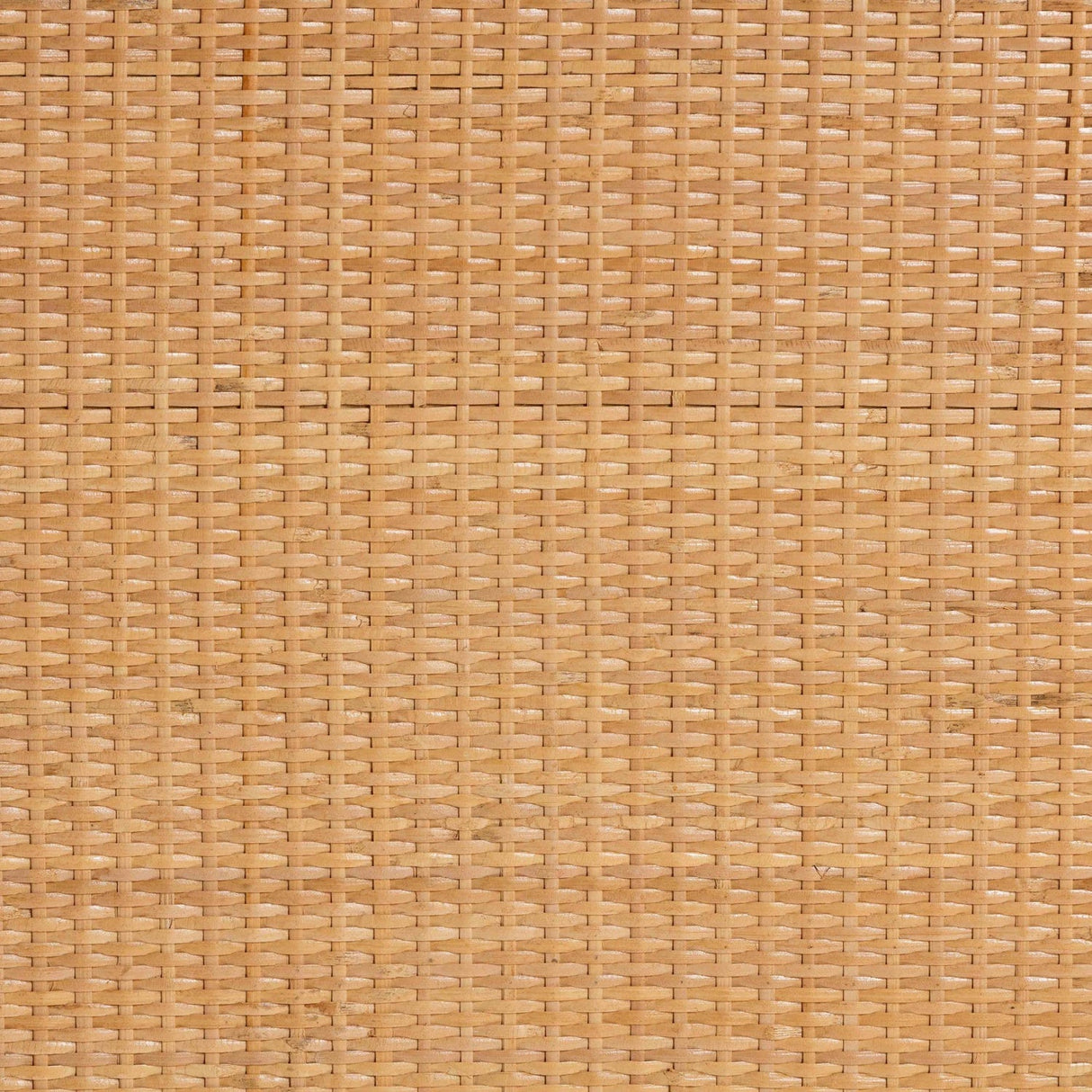 Modern European furniture - Geometrical Rattan 2 Door Cabinet - www.oroa.com
